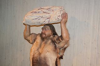 320px Homo neanderthalensis lifting Rock close Reconstruction Museum Neandertal