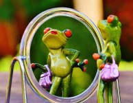 Frosch im Spiegel